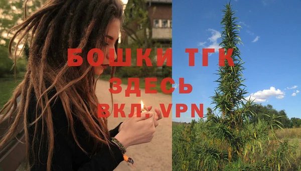 гидра Березники
