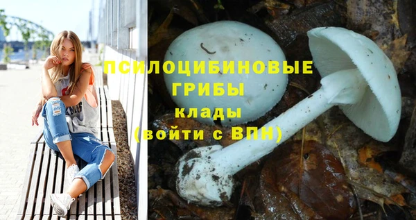 ГАЛЛЮЦИНОГЕННЫЕ ГРИБЫ Магадан