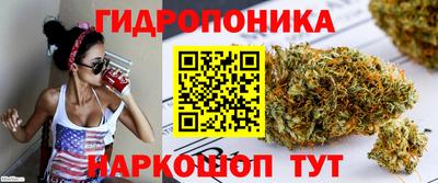 СК Заволжье