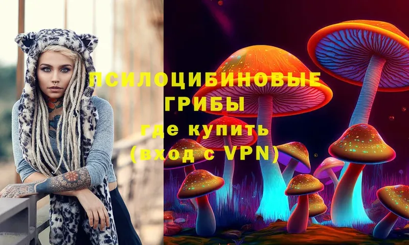 Псилоцибиновые грибы Magic Shrooms  Крымск 