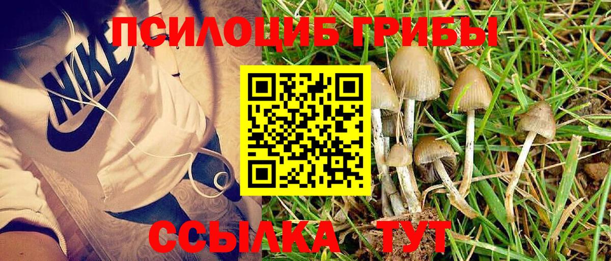 Псилоцибиновые грибы прущие грибы Крымск