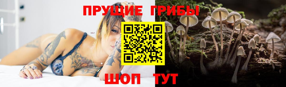 Крымск  Галлюциногенные грибы GOLDEN TEACHER  Псилоцибиновые грибы Psilocybe  Вход с VPN 